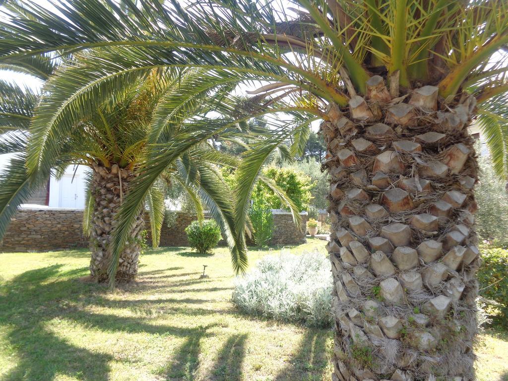 מלון מטהמורפוסי Porto Matina מראה חיצוני תמונה